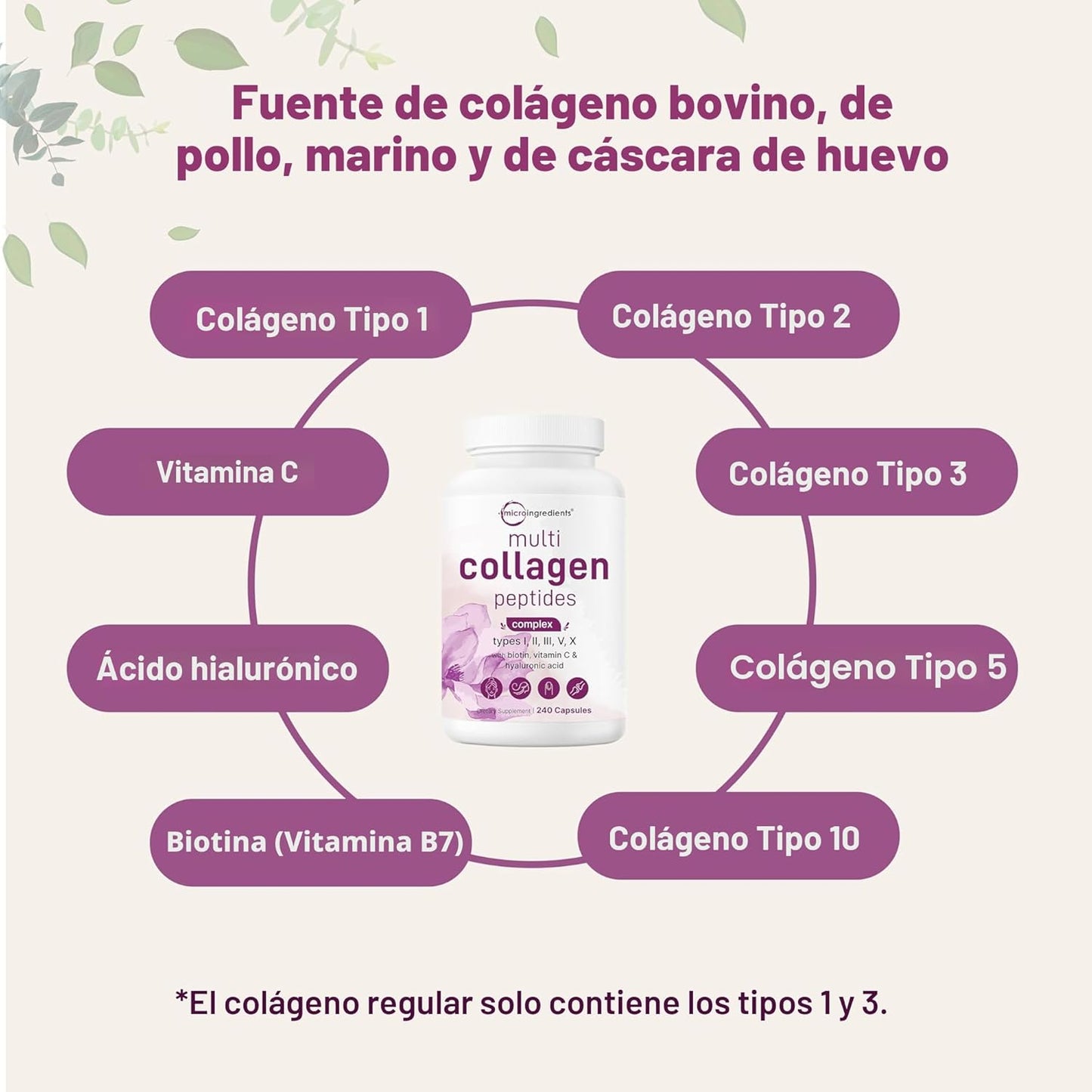 Colágeno 5X Beauty Complex
