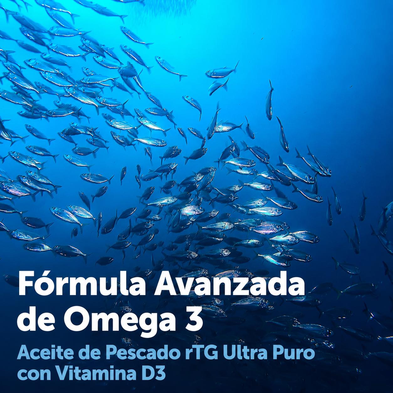 Omega 3 Supreme + Vitamina D3 | Alta Absorción EPA/DHA